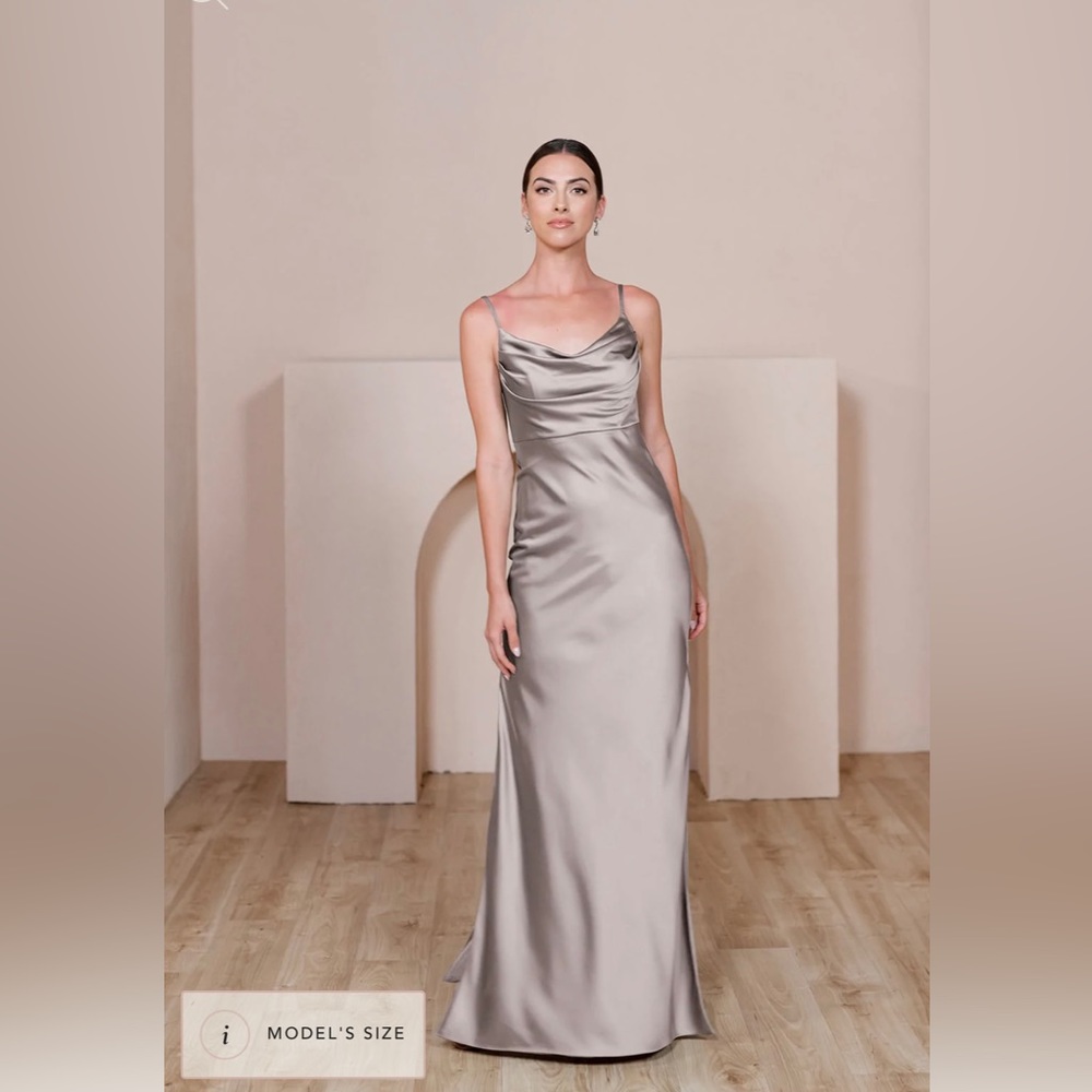 BRAND NEW Revelry Skye Dress Taupe Size 8